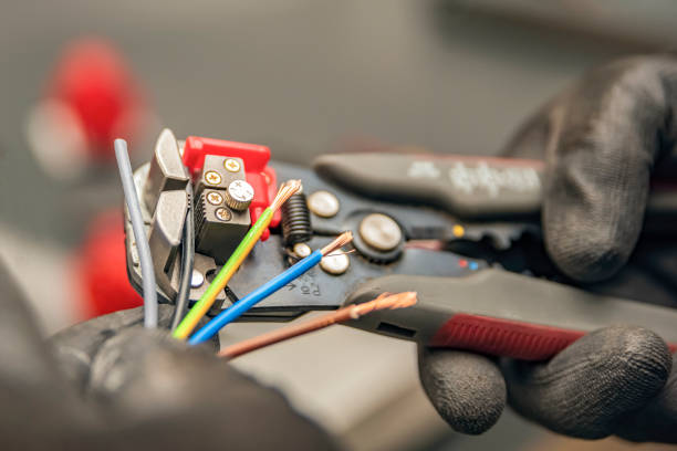 Best Licensed Electrician  in Shackle Island, TN
