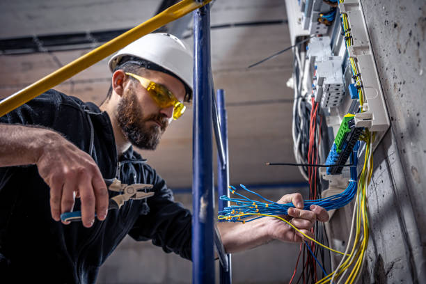 Best Affordable Electrician  in Shackle Island, TN