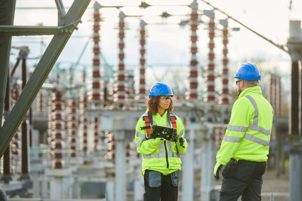 Best Electric Panel Repair  in Shackle Island, TN
